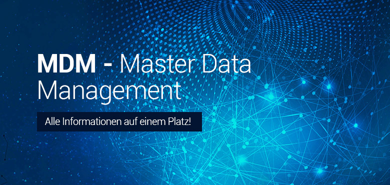 Master Data Management